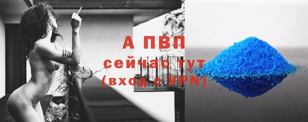сатива Белоозёрский
