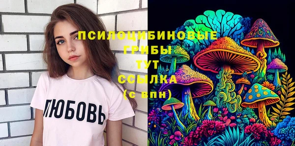 сатива Белоозёрский